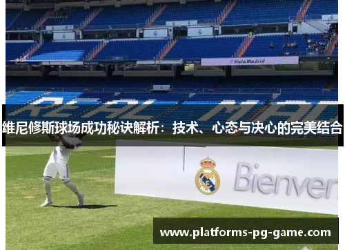 维尼修斯球场成功秘诀解析：技术、心态与决心的完美结合