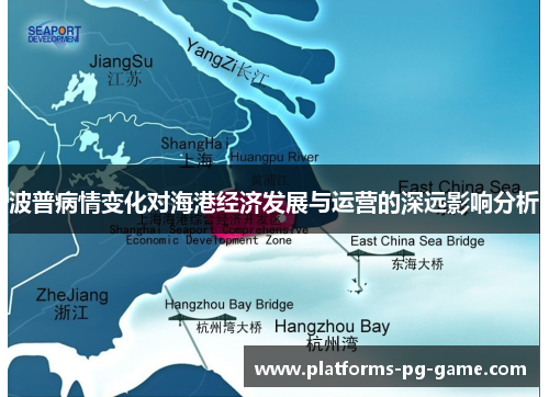 波普病情变化对海港经济发展与运营的深远影响分析