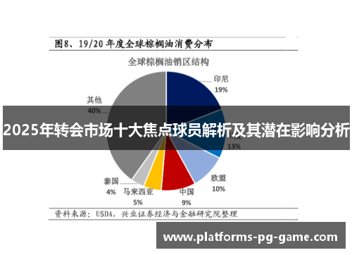2025年转会市场十大焦点球员解析及其潜在影响分析