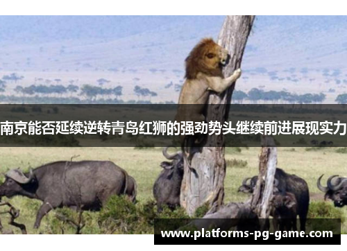 南京能否延续逆转青岛红狮的强劲势头继续前进展现实力