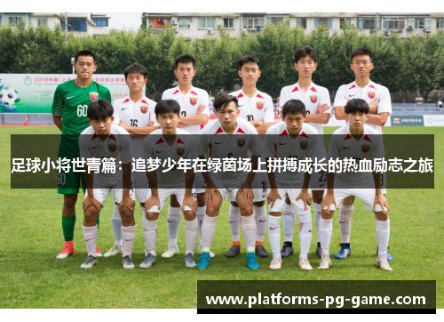 足球小将世青篇：追梦少年在绿茵场上拼搏成长的热血励志之旅