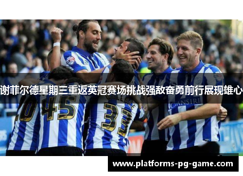 谢菲尔德星期三重返英冠赛场挑战强敌奋勇前行展现雄心 谢菲尔德星期三重返英冠赛场挑战强敌奋勇前行展现雄心
